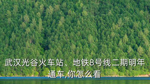 武漢光谷火車站、地鐵8號線二期明年通車,你怎么看