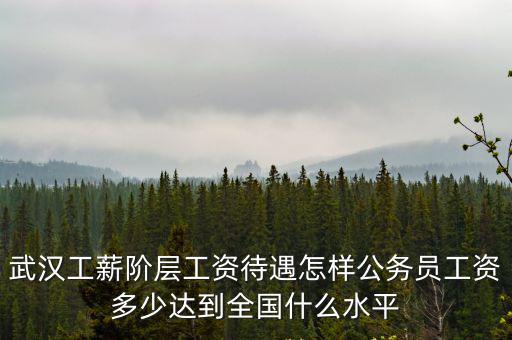 武漢工薪階層工資待遇怎樣公務(wù)員工資多少達(dá)到全國什么水平