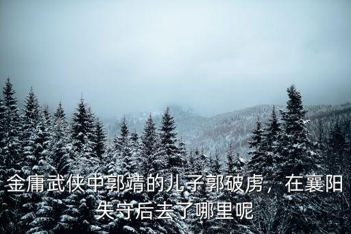 郭靖是怎么失守襄陽(yáng),郭靖是怎么死亡的