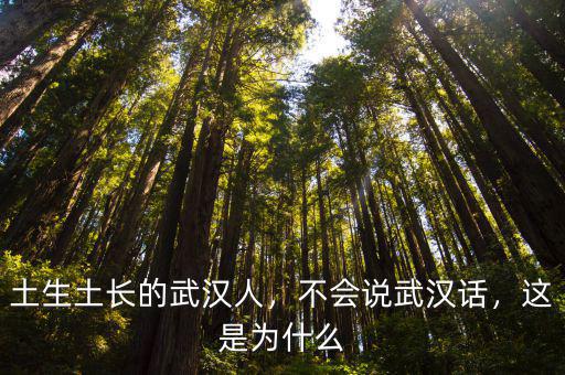 土生土長的武漢人，不會說武漢話，這是為什么