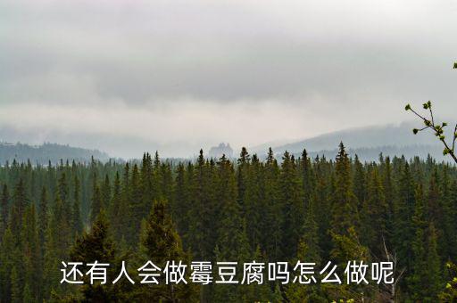 還有人會做霉豆腐嗎怎么做呢