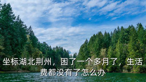 坐標湖北荊州，困了一個多月了，生活費都沒有了怎么辦
