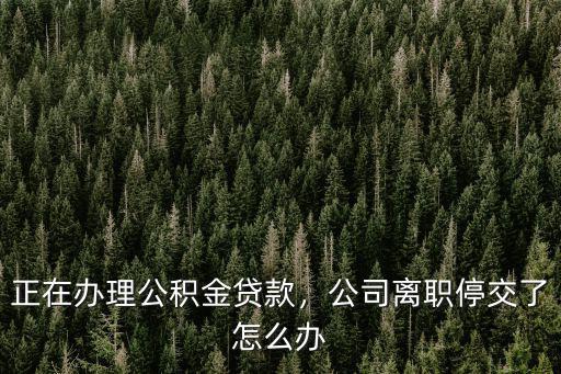 正在辦理公積金貸款，公司離職停交了怎么辦