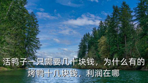 活鴨子一只需要幾十塊錢，為什么有的烤鴨十幾塊錢，利潤在哪
