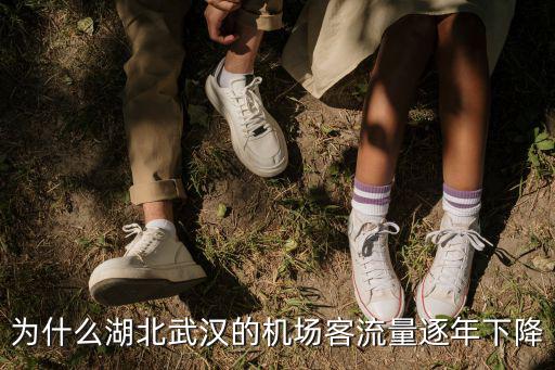 為什么湖北武漢的機場客流量逐年下降