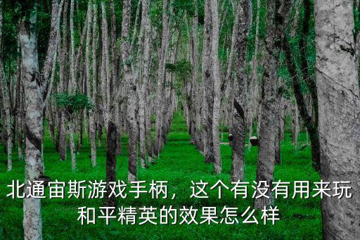 武漢北通手柄怎么樣,北通宙斯機械手柄怎么樣