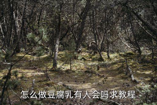 怎么做豆腐乳有人會嗎求教程