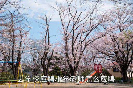 去學校應聘小學老師怎么應聘