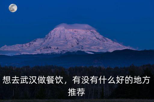 想去武漢做餐飲，有沒有什么好的地方推薦