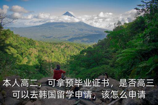 本人高二，可拿預畢業證書，是否高三可以去韓國留學申請，該怎么申請
