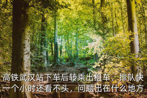 高鐵武漢站下車后轉乘出租車，排隊快一個小時還看不頭，問題出在什么地方