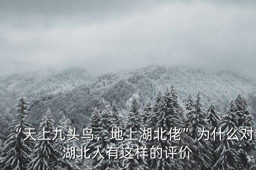 天上有九頭鳥(niǎo)地上有湖北佬怎么來(lái)的,俗語(yǔ)天上九頭鳥(niǎo)