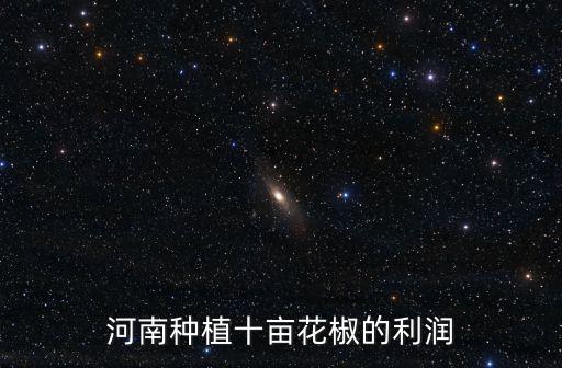 河南種植十畝花椒的利潤