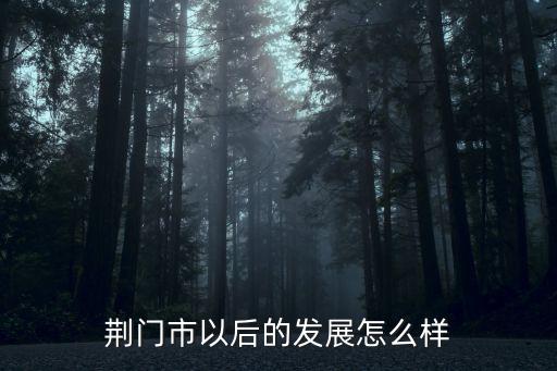 荊門市鐘祥市發展怎么樣,荊門市以后的發展怎么樣