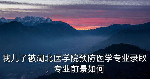 我兒子被湖北醫學院預防醫學專業錄取，專業前景如何