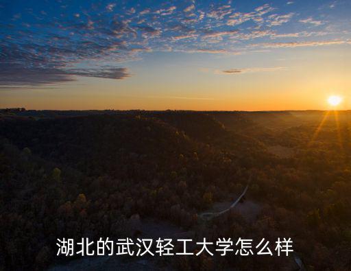 湖北的武漢輕工大學怎么樣
