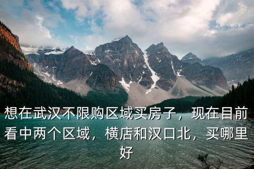 想在武漢不限購區域買房子，現在目前看中兩個區域，橫店和漢口北，買哪里好