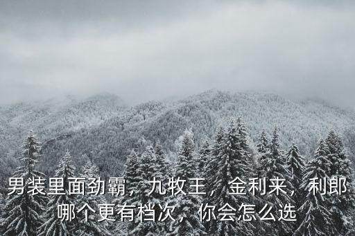 男裝里面勁霸，九牧王，金利來，利郎哪個更有檔次，你會怎么選