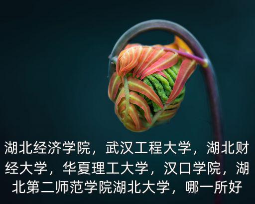 湖北經濟學院，武漢工程大學，湖北財經大學，華夏理工大學，漢口學院，湖北第二師范學院湖北大學，哪一所好