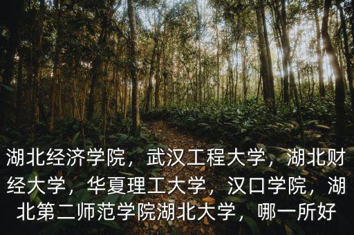 湖北經(jīng)濟學院，武漢工程大學，湖北財經(jīng)大學，華夏理工大學，漢口學院，湖北第二師范學院湖北大學，哪一所好