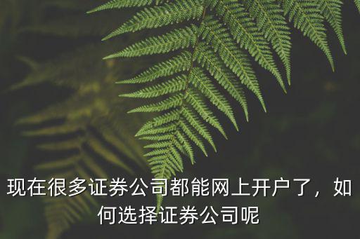 現(xiàn)在很多證券公司都能網(wǎng)上開戶了，如何選擇證券公司呢