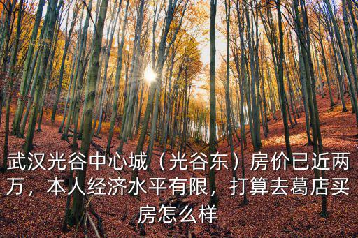 武漢光谷科技城醫(yī)院怎么樣,武漢科技大學(xué)怎么樣