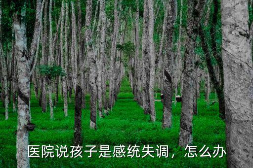 醫院說孩子是感統失調，怎么辦