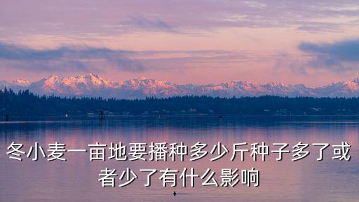 冬小麥一畝地要播種多少斤種子多了或者少了有什么影響