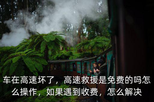 車(chē)在高速壞了，高速救援是免費(fèi)的嗎怎么操作，如果遇到收費(fèi)，怎么解決