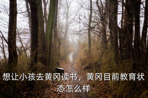 想讓小孩去黃岡讀書，黃岡目前教育狀態怎么樣