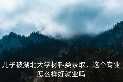兒子被湖北大學材料類錄取，這個專業怎么樣好就業嗎