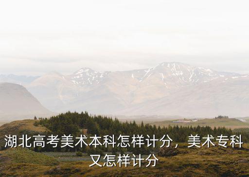 湖北高考美術本科怎樣計分，美術專科又怎樣計分