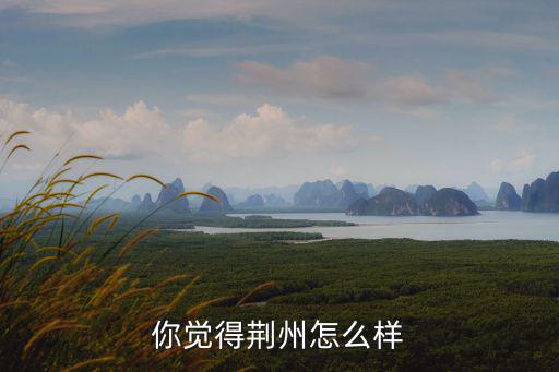 你覺(jué)得荊州怎么樣