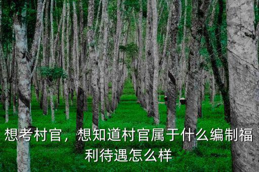 想考村官，想知道村官屬于什么編制福利待遇怎么樣