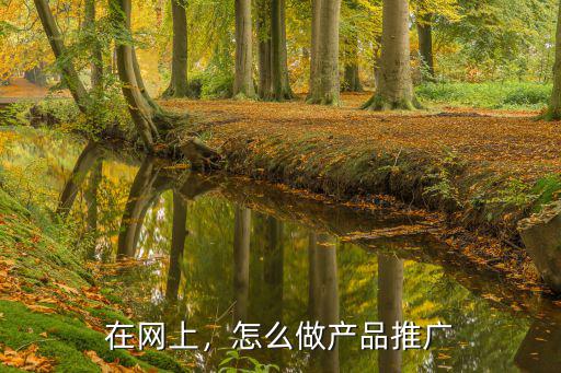 荊門市產品線上推廣怎么做,怎么做產品推廣