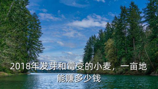 2018年發芽和霉變的小麥，一畝地能賺多少錢
