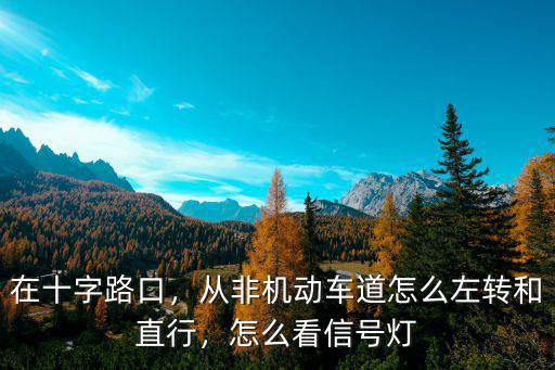 平頂山市借道左轉(zhuǎn)怎么轉(zhuǎn),借道左轉(zhuǎn)要是沒過去怎么辦