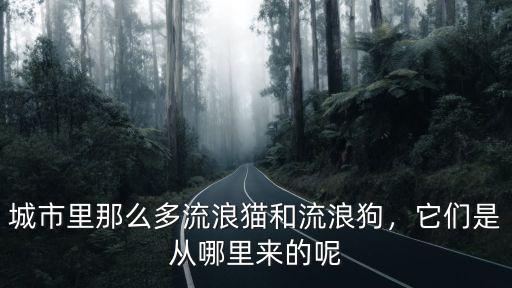 城市里那么多流浪貓和流浪狗，它們是從哪里來的呢