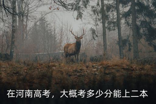 在河南高考，大概考多少分能上二本