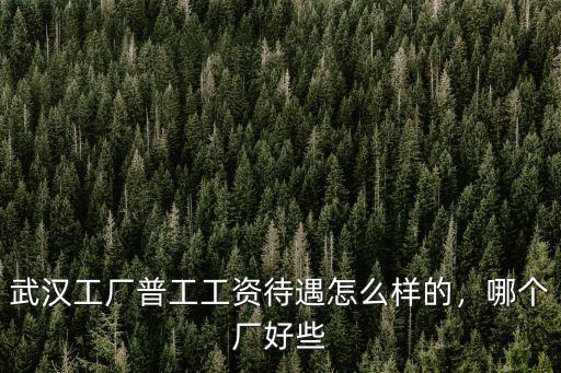 武漢工廠普工工資待遇怎么樣的，哪個(gè)廠好些