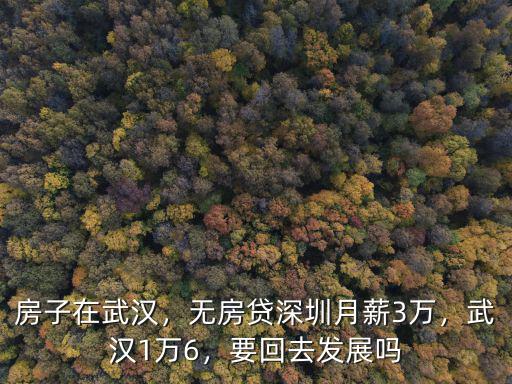 房子在武漢，無房貸深圳月薪3萬，武漢1萬6，要回去發(fā)展嗎