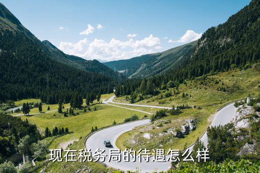 武漢稅務(wù)局工作怎么樣,現(xiàn)在稅務(wù)局的待遇怎么樣