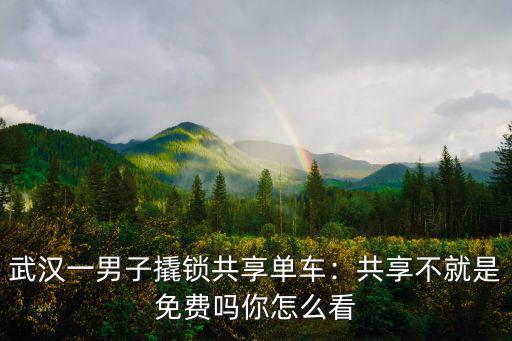 武漢一男子撬鎖共享單車：共享不就是免費嗎你怎么看