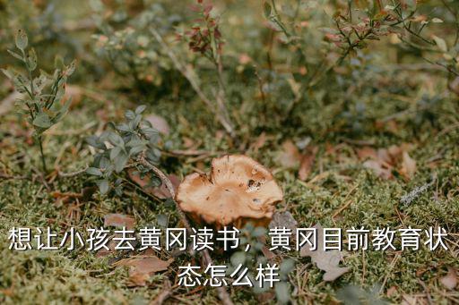 想讓小孩去黃岡讀書，黃岡目前教育狀態(tài)怎么樣