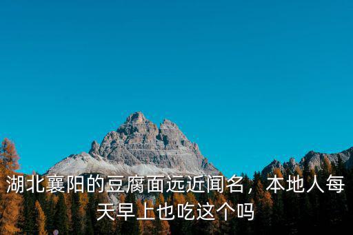 襄陽豆腐面里的豆腐怎么那么好吃,湖北襄陽的豆腐面遠近聞名
