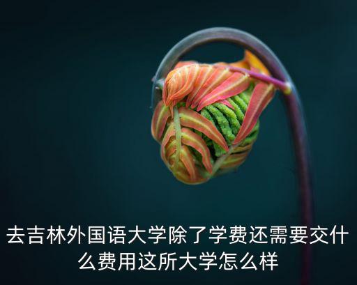 去吉林外國語大學(xué)除了學(xué)費還需要交什么費用這所大學(xué)怎么樣