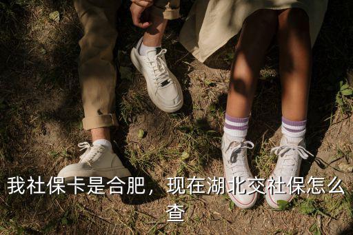 我社保卡是合肥，現在湖北交社保怎么查