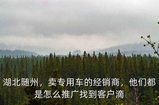 湖北隨州，賣專用車的經(jīng)銷商，他們都是怎么推廣找到客戶滴