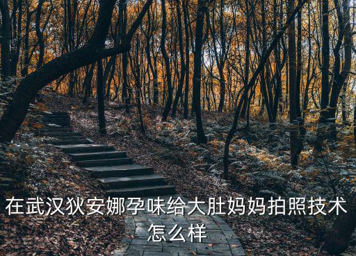 在武漢狄安娜孕味給大肚媽媽拍照技術(shù)怎么樣
