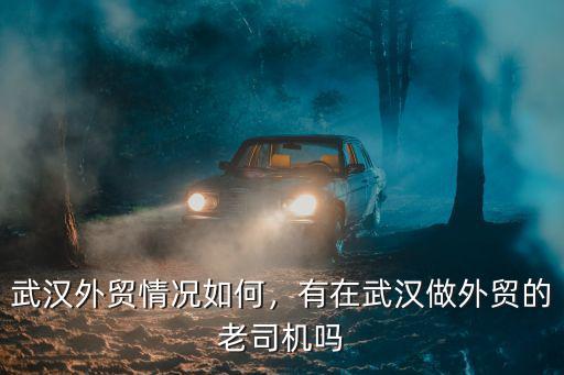 武漢外貿情況如何，有在武漢做外貿的老司機嗎